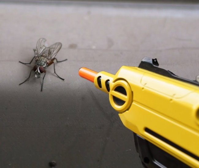 Дробовик с Солевым Выстрелом